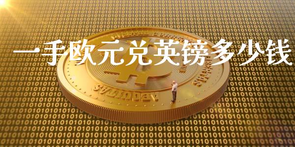 一手欧元兑英镑多少钱_https://m.jnlaobingbanjia.com_基金市场_第1张