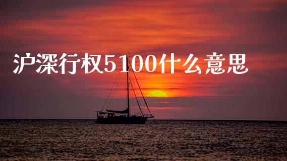沪深行权5100什么意思_https://m.jnlaobingbanjia.com_金融监管_第1张