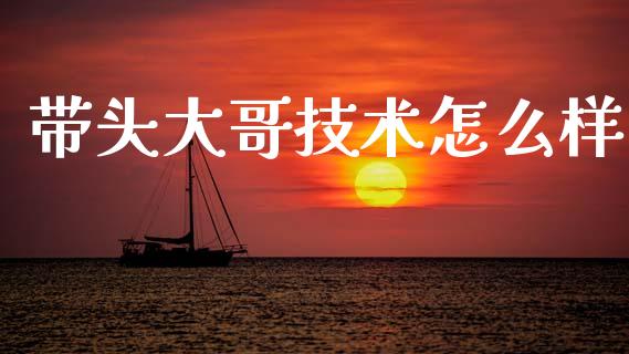 带头大哥技术怎么样_https://m.jnlaobingbanjia.com_基金市场_第1张