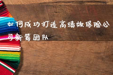 如何成功打造高绩效保险公司新筹团队_https://m.jnlaobingbanjia.com_股市新闻_第1张