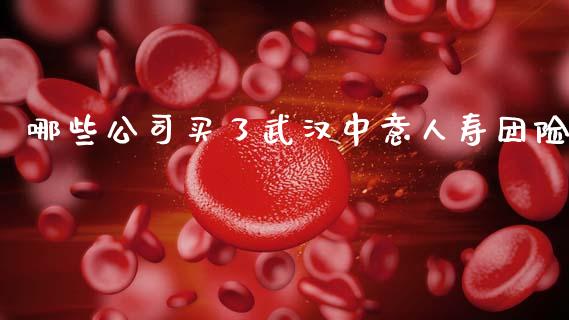 哪些公司买了武汉中意人寿团险_https://m.jnlaobingbanjia.com_理财规划_第1张