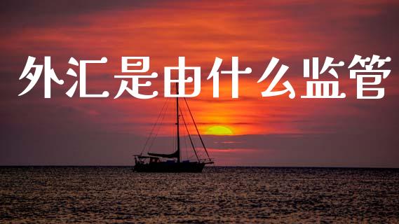 外汇是由什么监管_https://m.jnlaobingbanjia.com_基金市场_第1张