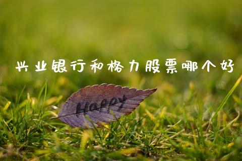 兴业银行和格力股票哪个好_https://m.jnlaobingbanjia.com_股市新闻_第1张