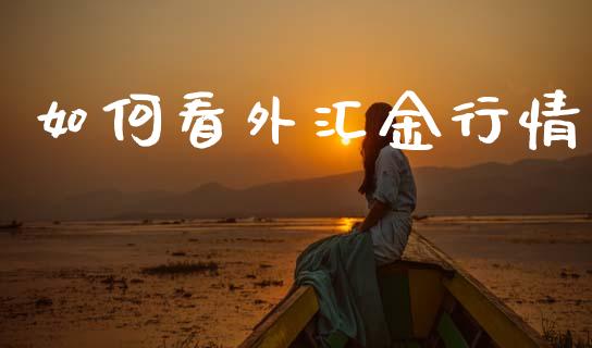 如何看外汇金行情_https://m.jnlaobingbanjia.com_全球市场_第1张