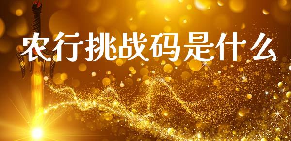 农行挑战码是什么_https://m.jnlaobingbanjia.com_区块链_第1张