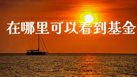 在哪里可以看到基金_https://m.jnlaobingbanjia.com_基金市场_第1张