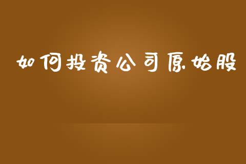 如何投资公司原始股_https://m.jnlaobingbanjia.com_金融监管_第1张