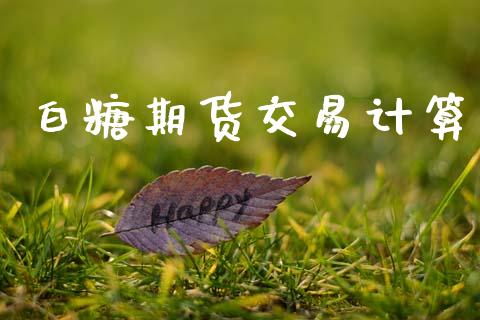 白糖期货交易计算_https://m.jnlaobingbanjia.com_金融监管_第1张