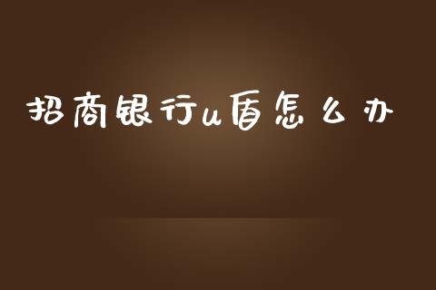 招商银行u盾怎么办_https://m.jnlaobingbanjia.com_股市新闻_第1张