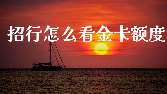招行怎么看金卡额度_https://m.jnlaobingbanjia.com_全球市场_第1张