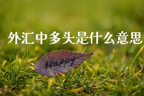 外汇中多头是什么意思_https://m.jnlaobingbanjia.com_全球市场_第1张