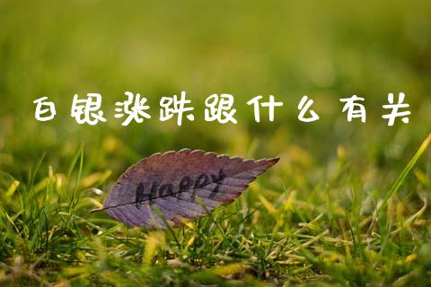 白银涨跌跟什么有关_https://m.jnlaobingbanjia.com_理财规划_第1张