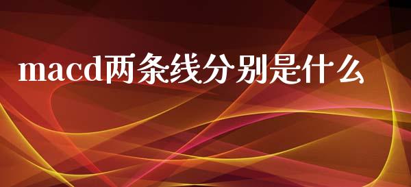 macd两条线分别是什么_https://m.jnlaobingbanjia.com_金融监管_第1张