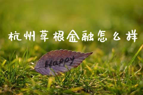 杭州草根金融怎么样_https://m.jnlaobingbanjia.com_金融监管_第1张