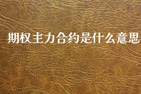 期权主力合约是什么意思_https://m.jnlaobingbanjia.com_基金市场_第1张