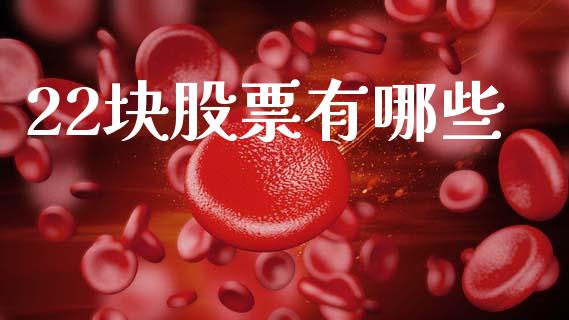 22块股票有哪些_https://m.jnlaobingbanjia.com_理财规划_第1张