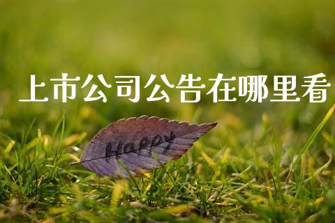 上市公司公告在哪里看_https://m.jnlaobingbanjia.com_基金市场_第1张