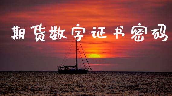 期货数字证书密码_https://m.jnlaobingbanjia.com_基金市场_第1张