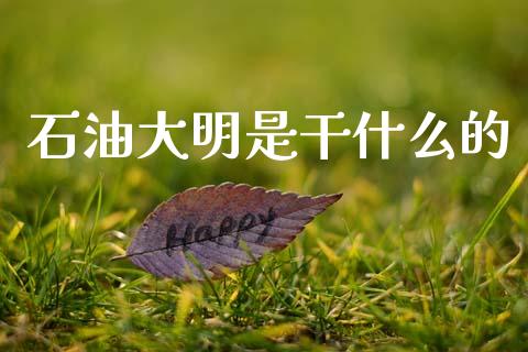 石油大明是干什么的_https://m.jnlaobingbanjia.com_理财规划_第1张