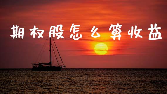 期权股怎么算收益_https://m.jnlaobingbanjia.com_基金市场_第1张