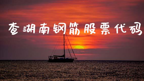 查湖南钢筋股票代码_https://m.jnlaobingbanjia.com_股市新闻_第1张