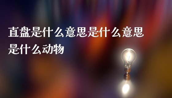 直盘是什么意思是什么意思是什么动物_https://m.jnlaobingbanjia.com_股市新闻_第1张