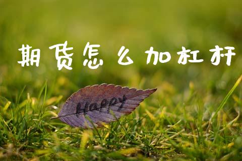期货怎么加杠杆_https://m.jnlaobingbanjia.com_金融监管_第1张