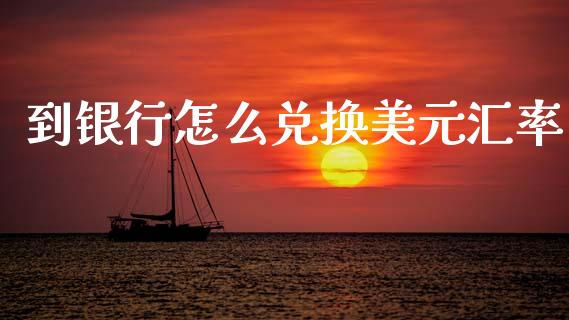 到银行怎么兑换美元汇率_https://m.jnlaobingbanjia.com_理财规划_第1张