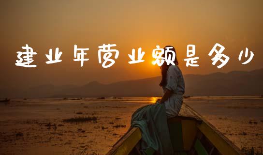 建业年营业额是多少_https://m.jnlaobingbanjia.com_金融监管_第1张