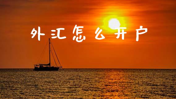 外汇怎么开户_https://m.jnlaobingbanjia.com_股市新闻_第1张