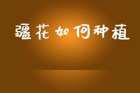 疆花如何种植_https://m.jnlaobingbanjia.com_理财规划_第1张