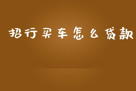 招行买车怎么贷款_https://m.jnlaobingbanjia.com_理财规划_第1张