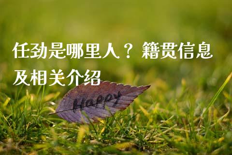 任劲是哪里人？ 籍贯信息及相关介绍_https://m.jnlaobingbanjia.com_金融监管_第1张
