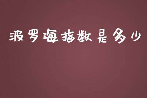 波罗海指数是多少_https://m.jnlaobingbanjia.com_基金市场_第1张