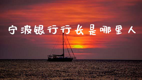 宁波银行行长是哪里人_https://m.jnlaobingbanjia.com_理财规划_第1张