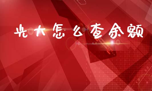 光大怎么查余额_https://m.jnlaobingbanjia.com_理财规划_第1张