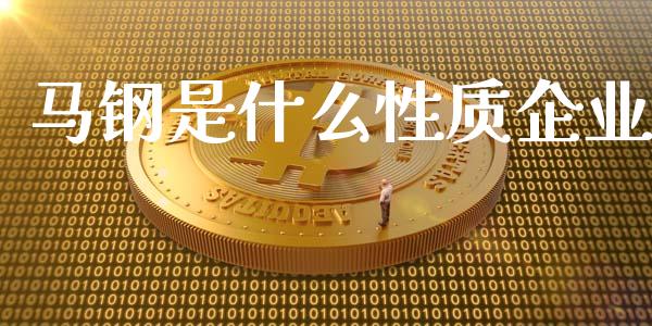 马钢是什么性质企业_https://m.jnlaobingbanjia.com_理财规划_第1张