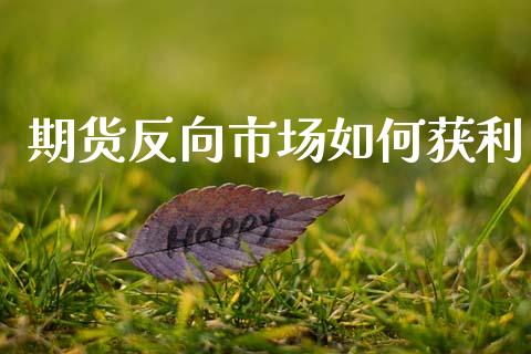 期货反向市场如何获利_https://m.jnlaobingbanjia.com_全球市场_第1张