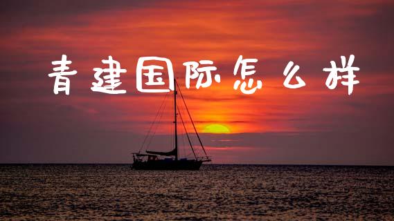 青建国际怎么样_https://m.jnlaobingbanjia.com_基金市场_第1张