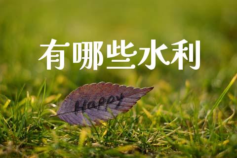 有哪些水利_https://m.jnlaobingbanjia.com_基金市场_第1张