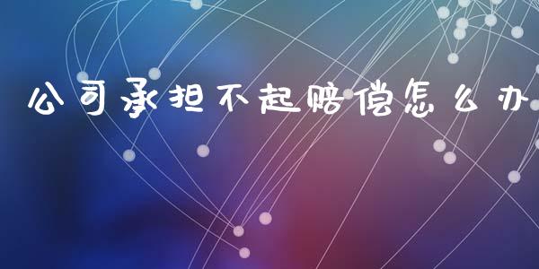 公司承担不起赔偿怎么办_https://m.jnlaobingbanjia.com_理财规划_第1张
