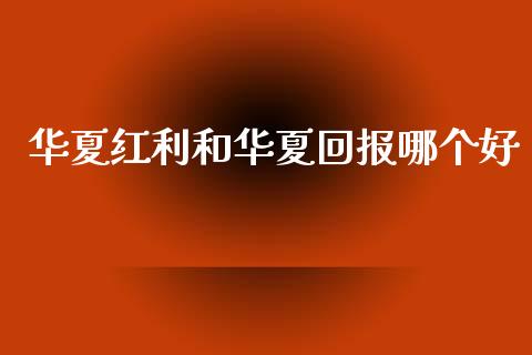 华夏红利和华夏回报哪个好_https://m.jnlaobingbanjia.com_理财规划_第1张