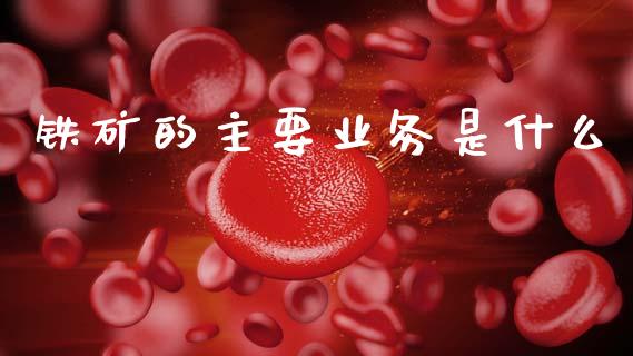铁矿的主要业务是什么_https://m.jnlaobingbanjia.com_金融监管_第1张
