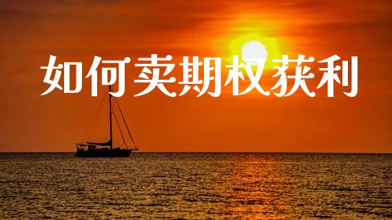 如何卖期权获利_https://m.jnlaobingbanjia.com_基金市场_第1张