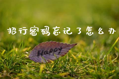 招行密码忘记了怎么办_https://m.jnlaobingbanjia.com_金融监管_第1张