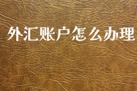 外汇账户怎么办理_https://m.jnlaobingbanjia.com_金融监管_第1张