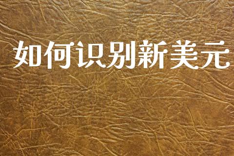 如何识别新美元_https://m.jnlaobingbanjia.com_理财规划_第1张