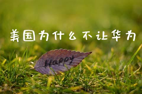 美国为什么不让华为_https://m.jnlaobingbanjia.com_金融监管_第1张