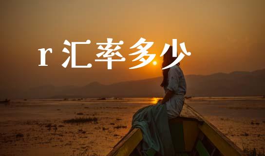 r 汇率多少_https://m.jnlaobingbanjia.com_金融监管_第1张