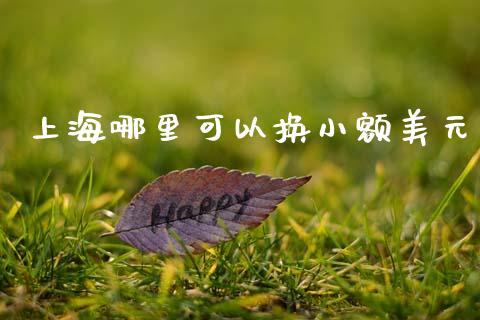 上海哪里可以换小额美元_https://m.jnlaobingbanjia.com_股市新闻_第1张